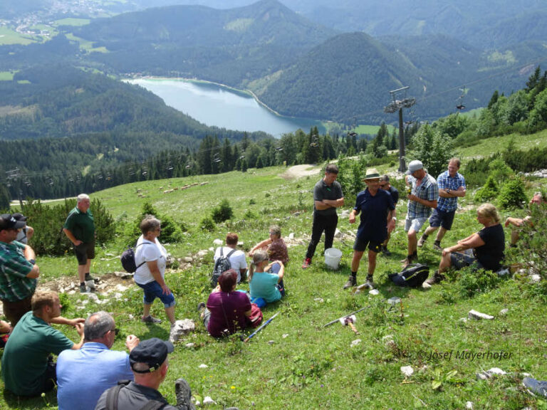 Personengruppe auf der Alm